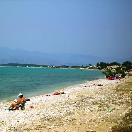 Summerlife *